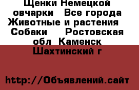 Щенки Немецкой овчарки - Все города Животные и растения » Собаки   . Ростовская обл.,Каменск-Шахтинский г.